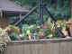 DSC00052