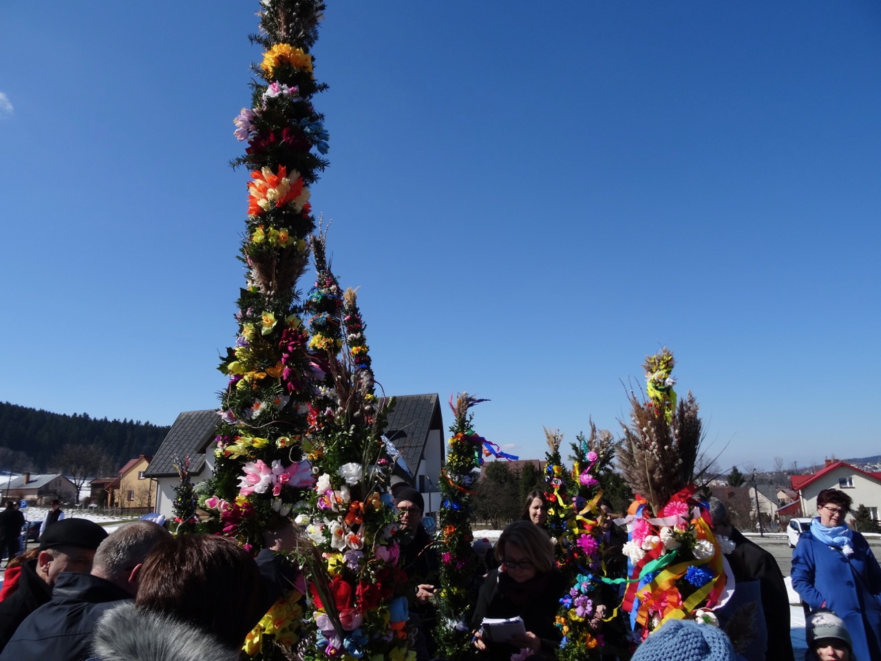 DSC05095