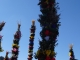 DSC05043