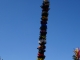 DSC05135