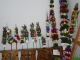 DSC06906