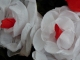 P1230866