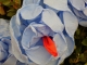P1230867