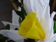 P1230870