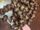 rozaniec26_39