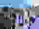 ryglice_2026_9