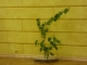 P1240241
