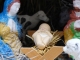 P1220598
