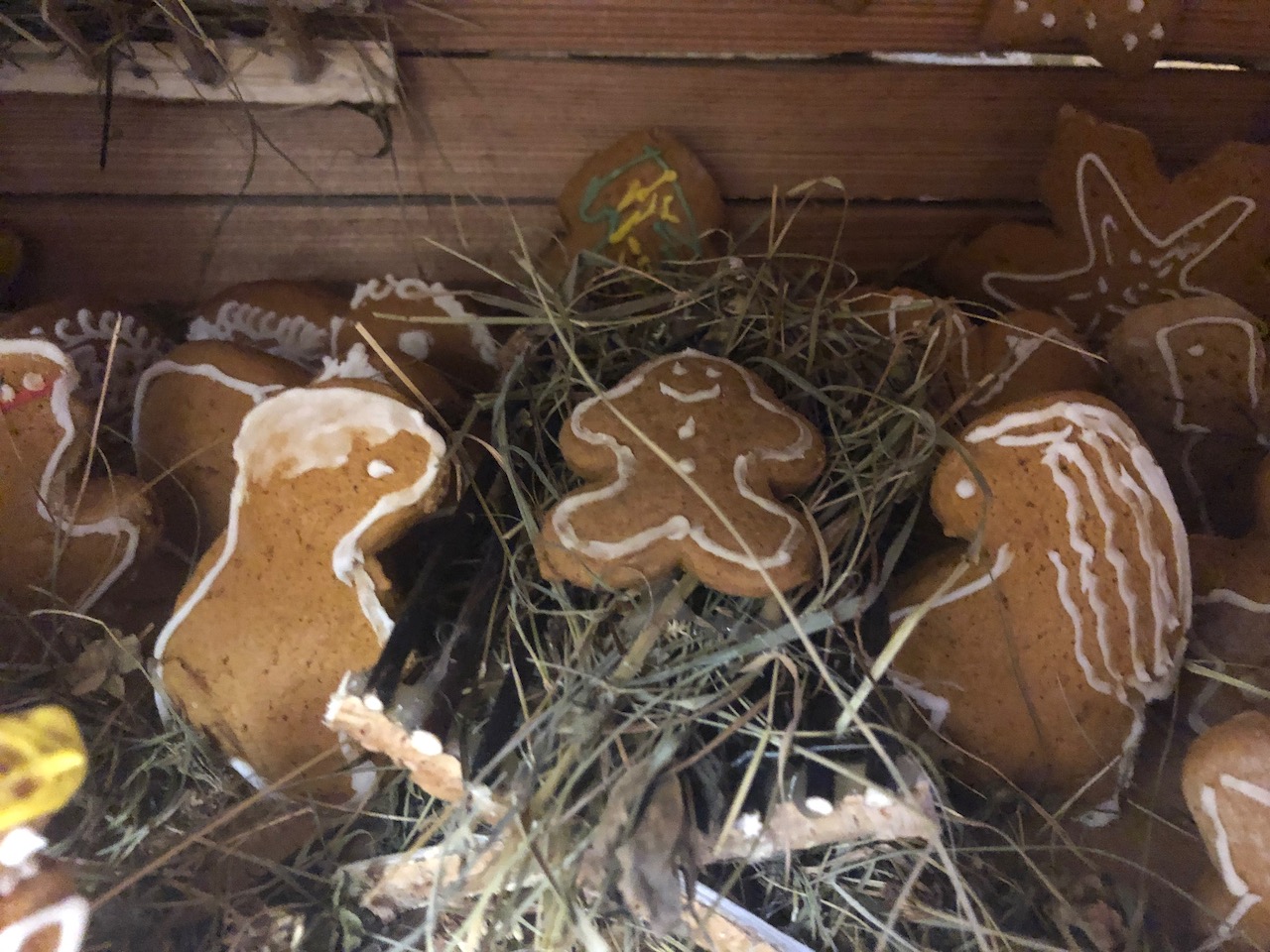 IMG_5764