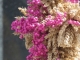 P1260902