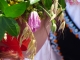 P1260923